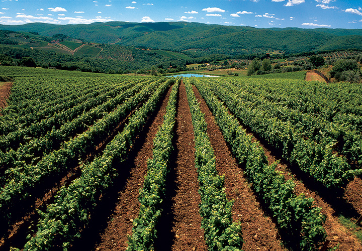 valdobbiadene wineries