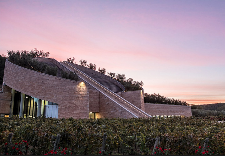 cantine in toscana da visitare in val di cornia